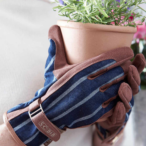 SOPHIE CONRAN Gloves - Ticking Stripe