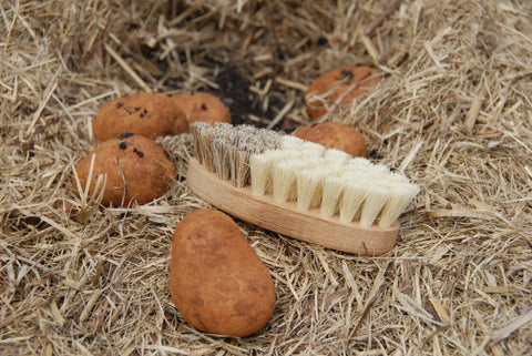 KELLER BÜRSTEN Vegetable Brush Beechwood & Union Fibre - French Text - Brosse á Légumes