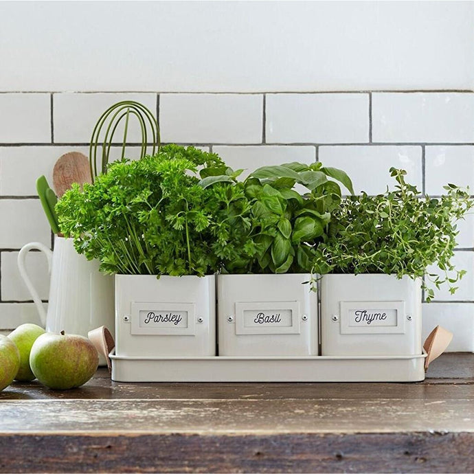 BURGON & BALL | Herb Pots with Leather Handled Tray - Stone