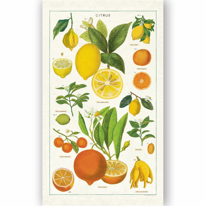 CAVALLINI & Co. 100% Natural Cotton Tea Towel - Citrus