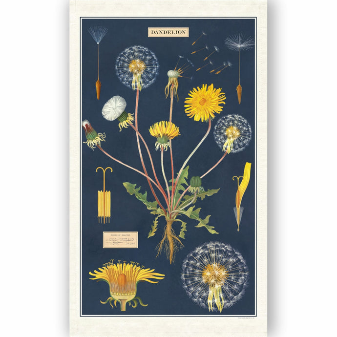 CAVALLINI & Co. 100% Natural Cotton Tea Towel - Dandelion