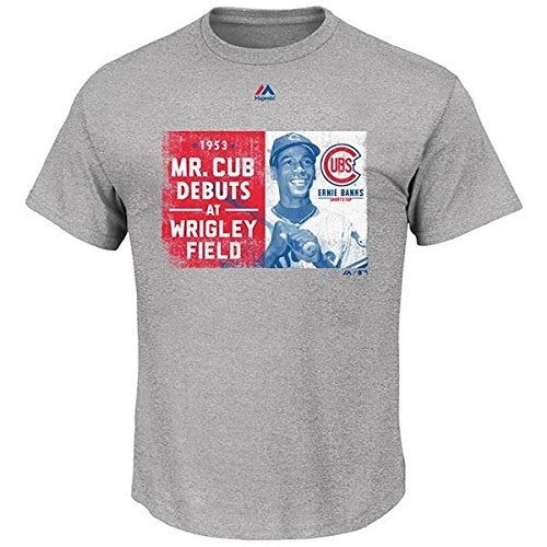 Majestic Ernie Banks Chicago Cubs 1953 Cooperstown Player Gray Shirt