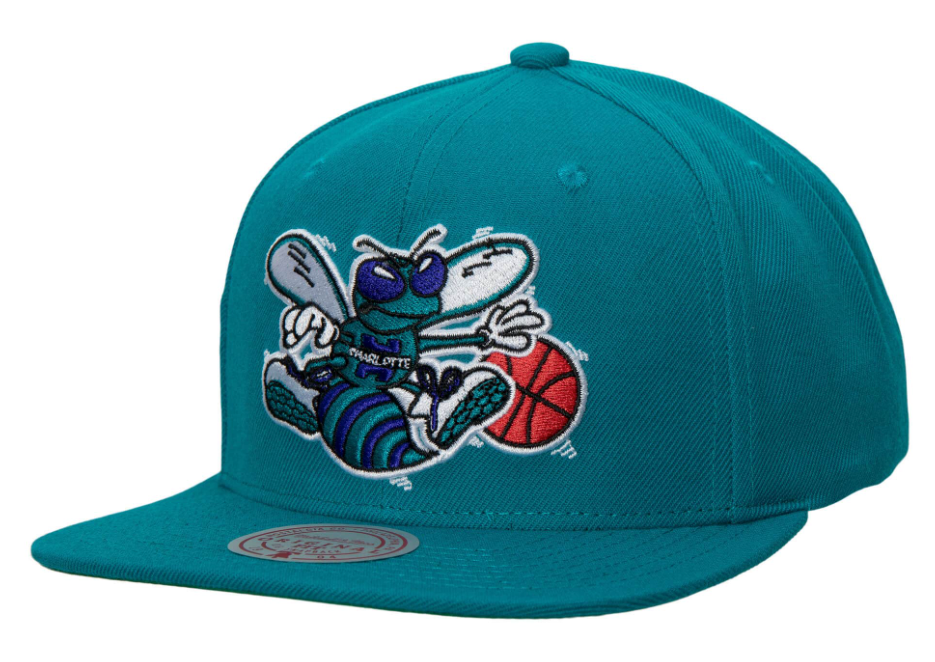 Team Ground 2.0 Snapback HWC Charlotte Hornets  