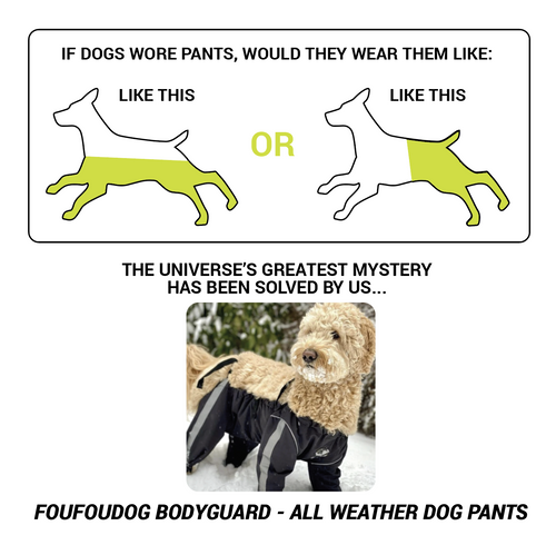 Bodyguard - Protective All-Weather Dog Pants - foufoubrands-usa