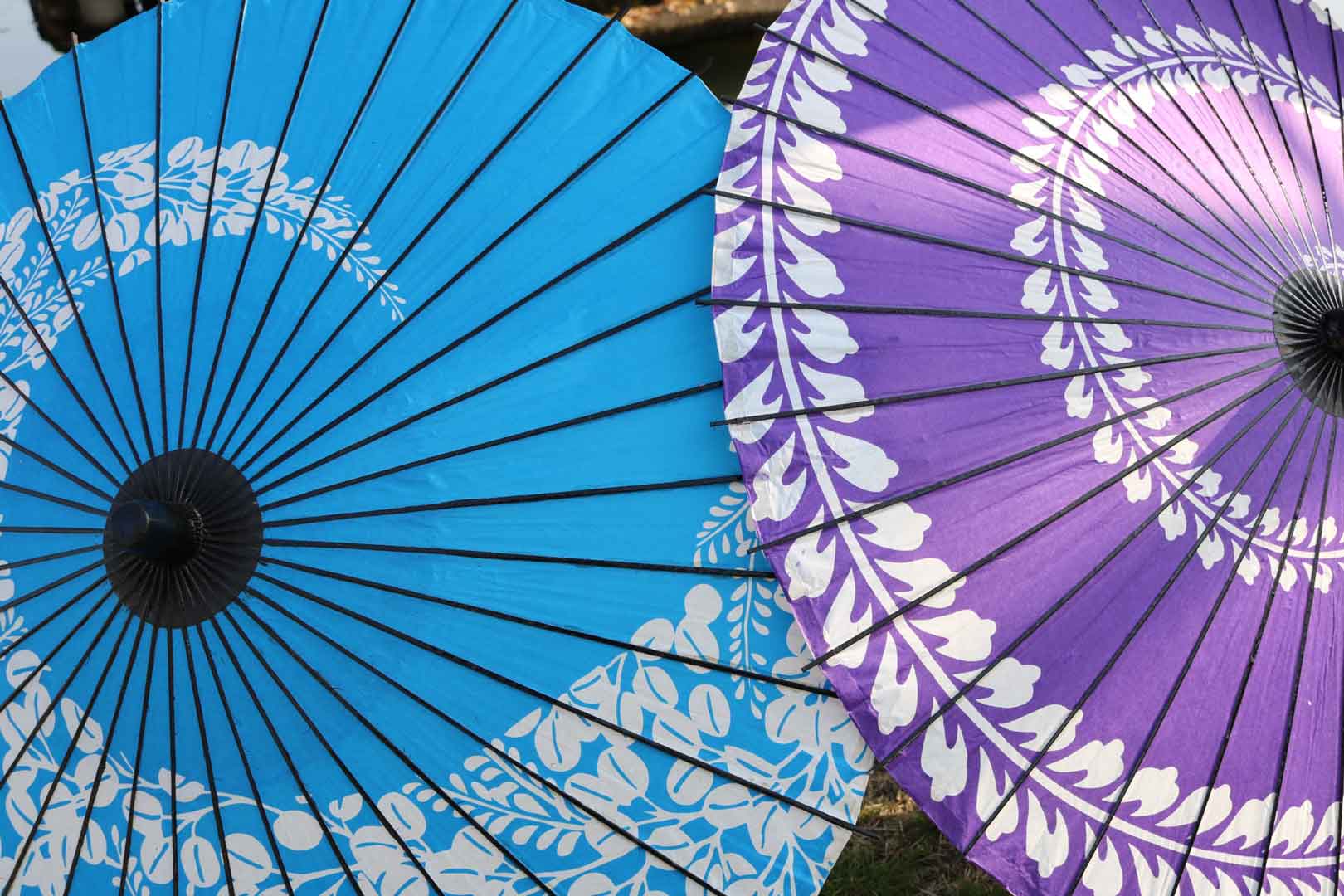 Japanese paper umbrella. Japanese Culture Day. Bunka no Hi. Japan's national holiday. Japanese blog. Murasaki Cosmetics.