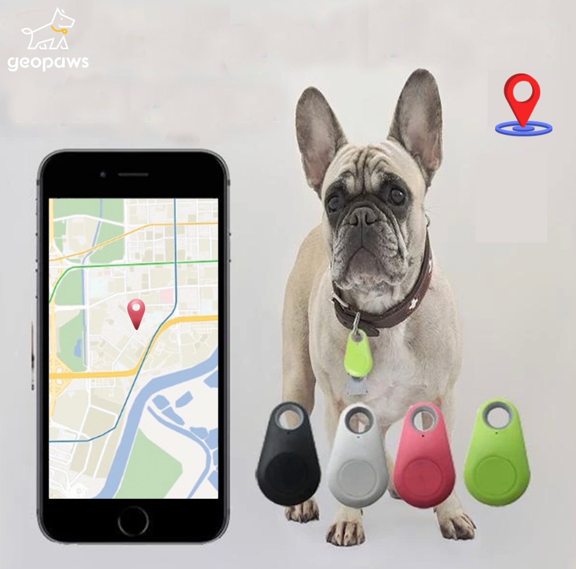 pet tracker