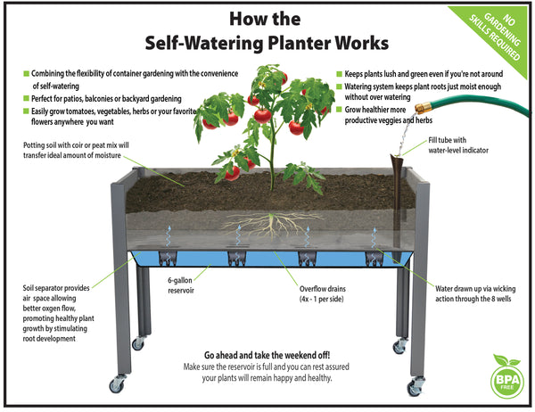 Self-Watering Cedar Planter (21