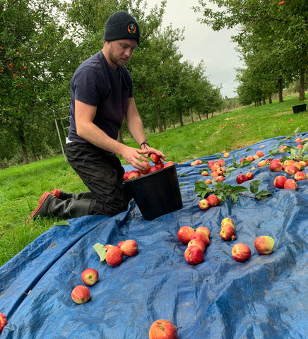 harvest-homeorchard