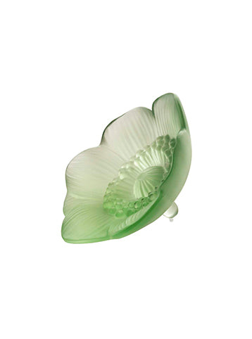 Anémonas Flor de Anémona Verde SM - Tienda online de Snob