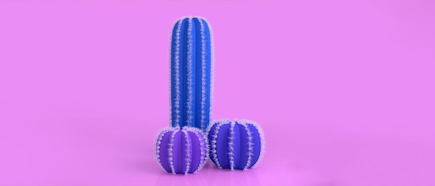 Three blue cacti on a pink background, cacti are set up with two smaller in front and one taller in back to look like a penis