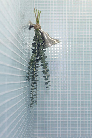 eucalyptus bundle in blue tiled shower