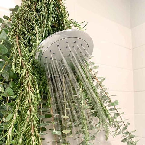 Fresh eucalyptus and rosemary on shower head