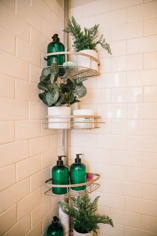 shower plants in organizer