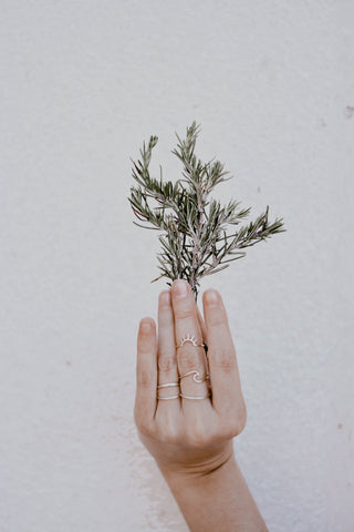 hand holding sprig of rosemary