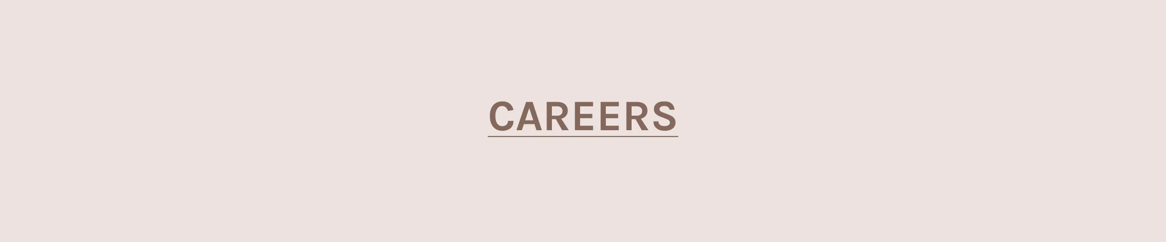 careers banner