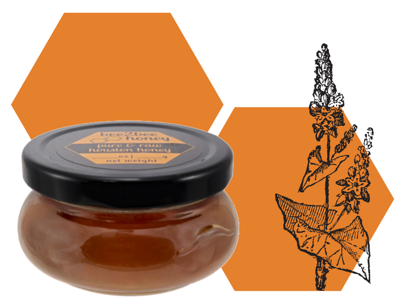 Buckwheat Honey – Bee2Bee Honey Collective
