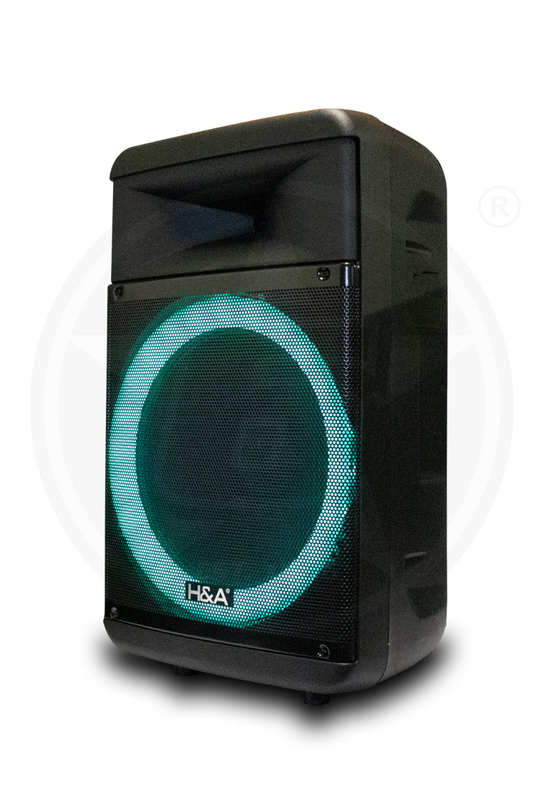 h&a karaoke speaker