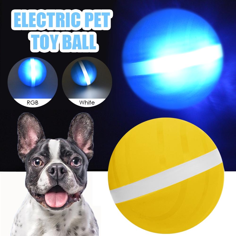 Petomy™ Smart Pet Ball - Geniusly PH