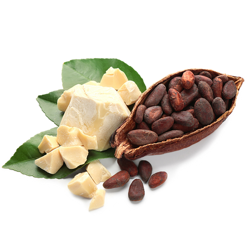 Cocoa pod with beand and Cocoa butter
