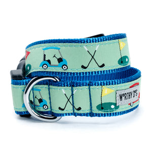 just for puppy collar and lead set