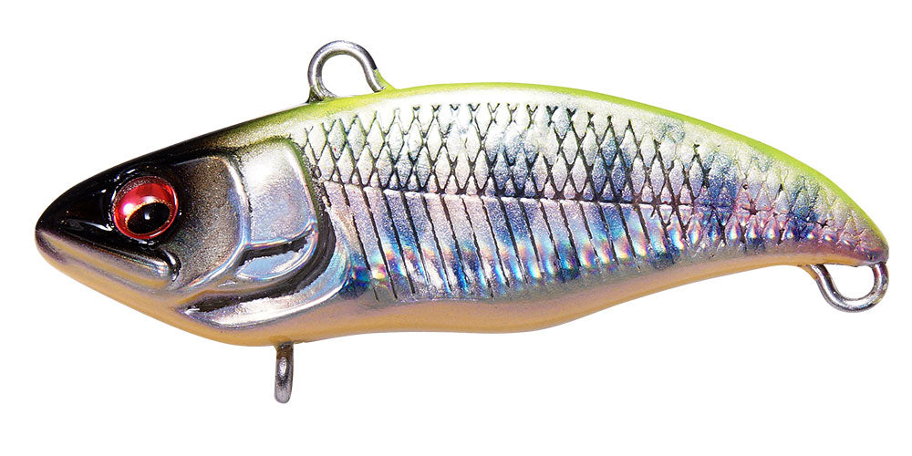 Duo Realis Bayruf BR Head