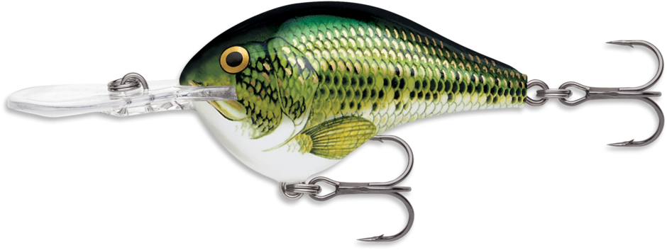 Rapala DT6 - CRSD • Fanatic Pesca