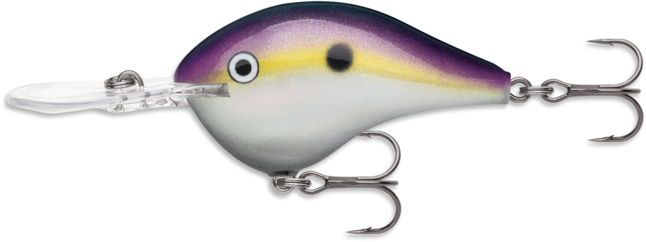 Rapala DT6 Crankbait