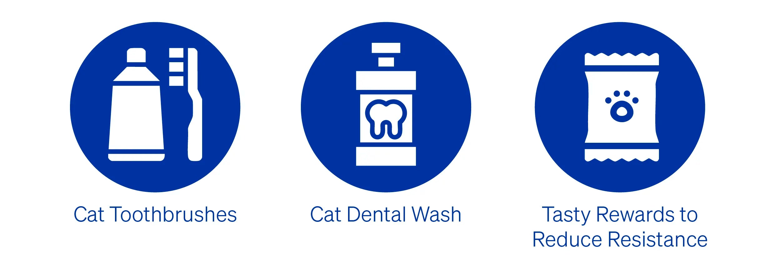Essential Tools for Brushing Your Cat’s Teeth