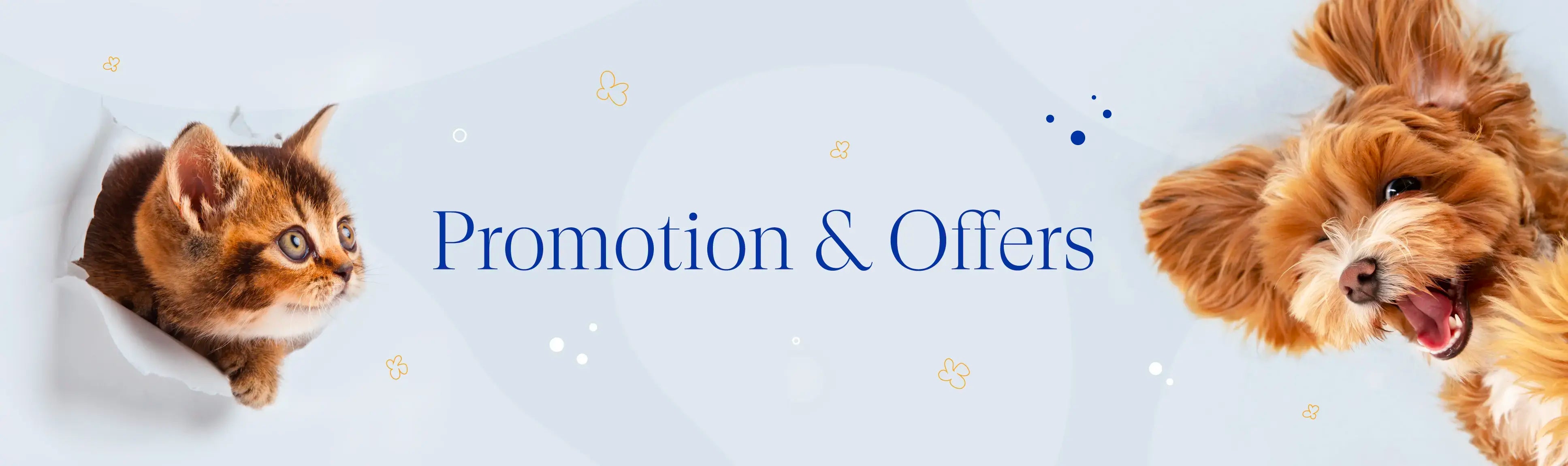 Desktop Banner