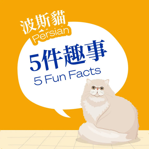 Persian -Five Fun Facts