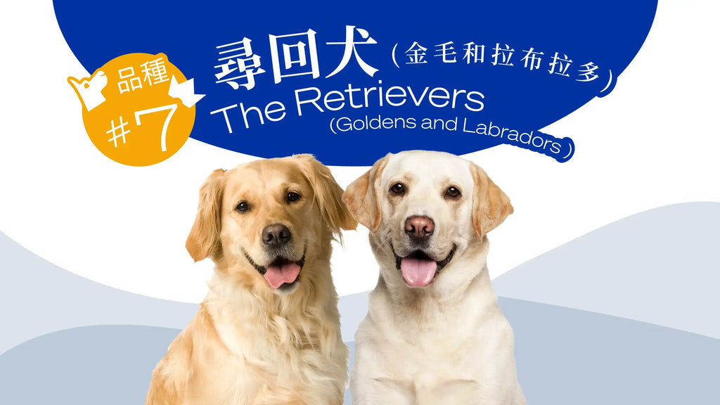 Retrievers