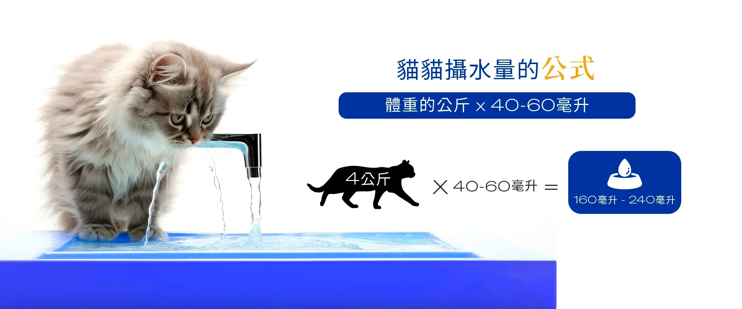 貓貓每日攝水量公式