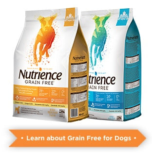 nutrience dog food