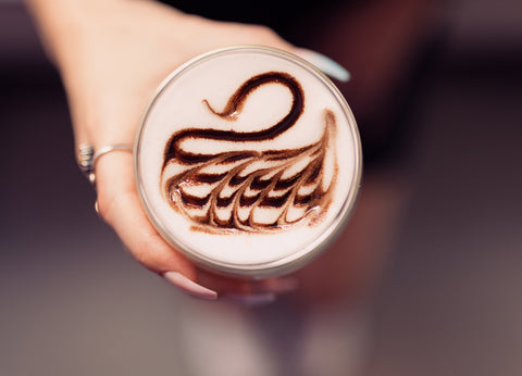 Black Swan Mocha