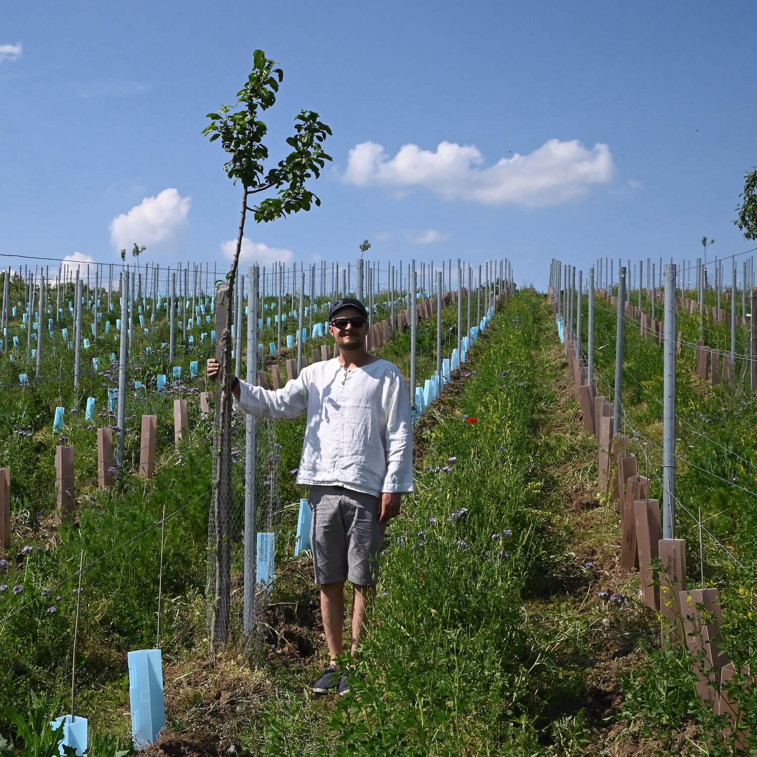 Michael Völker mit Apfelbaum