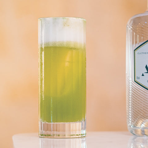 Lime Gin Fizz