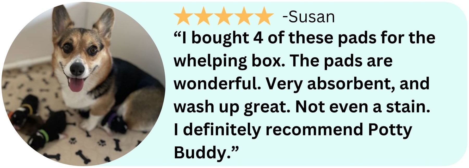 A review image of Potty Buddy pads, featuring a Corgi and her puppies in a playpen.