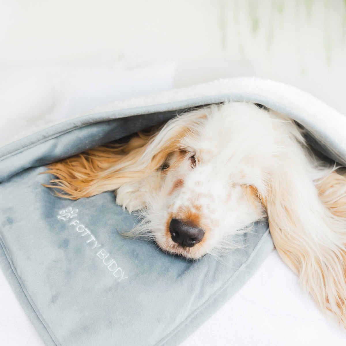 Potty Buddy™ Waterproof Blankets