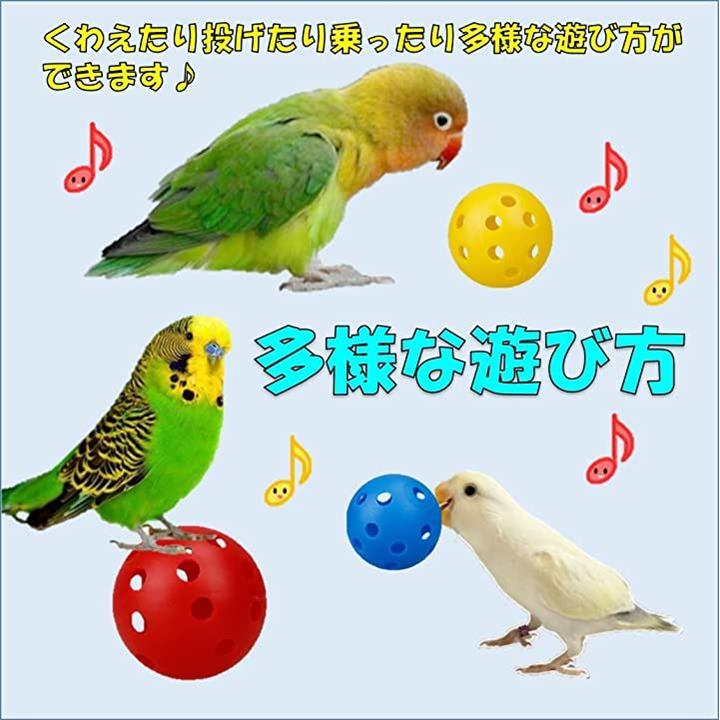 全てのアイテム マリー インコワネット様 専用ページ セキセイインコ