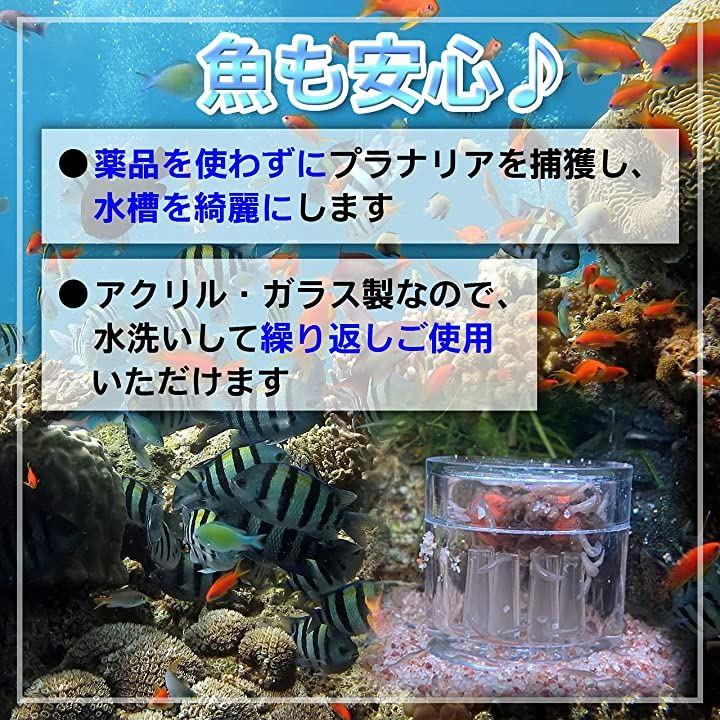 プラナリアキャッチャー ヒル スネール 駆除 水槽 虫取り プラナリアトラップ 虫かご