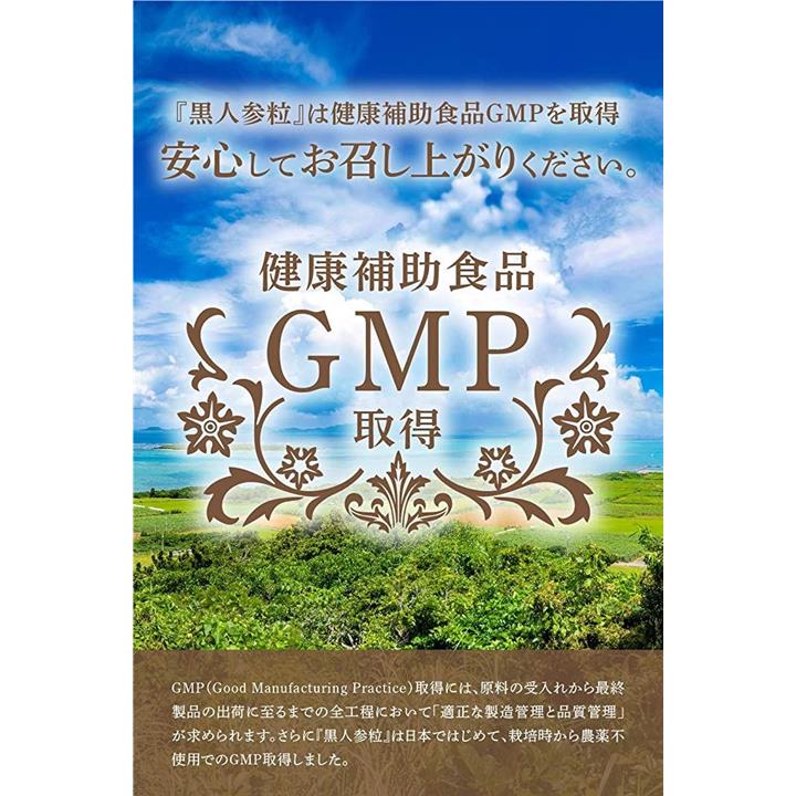 フェアユング株式会社 十蒸十曝黒人参 - その他