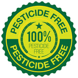 100% Pesticide Free Vegetables