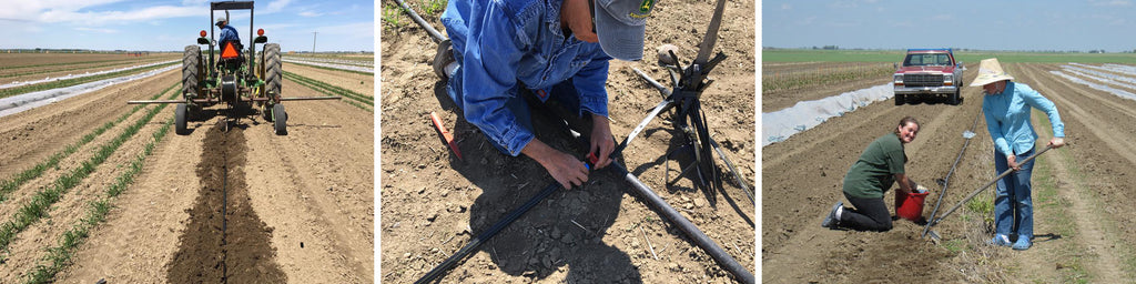 Michelle's Market - Calgary Vegetable Irrigation