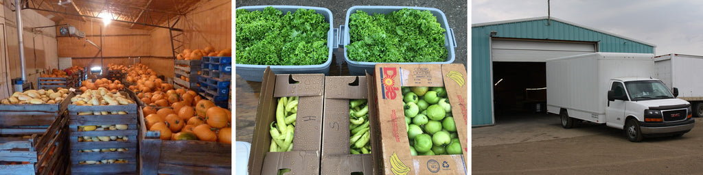 Michelle's Market - Vegetable Storage