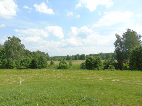 Looking east from Shevardino towards the Russian lines