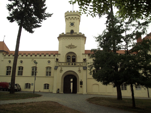 The Castle at Sokolnitz