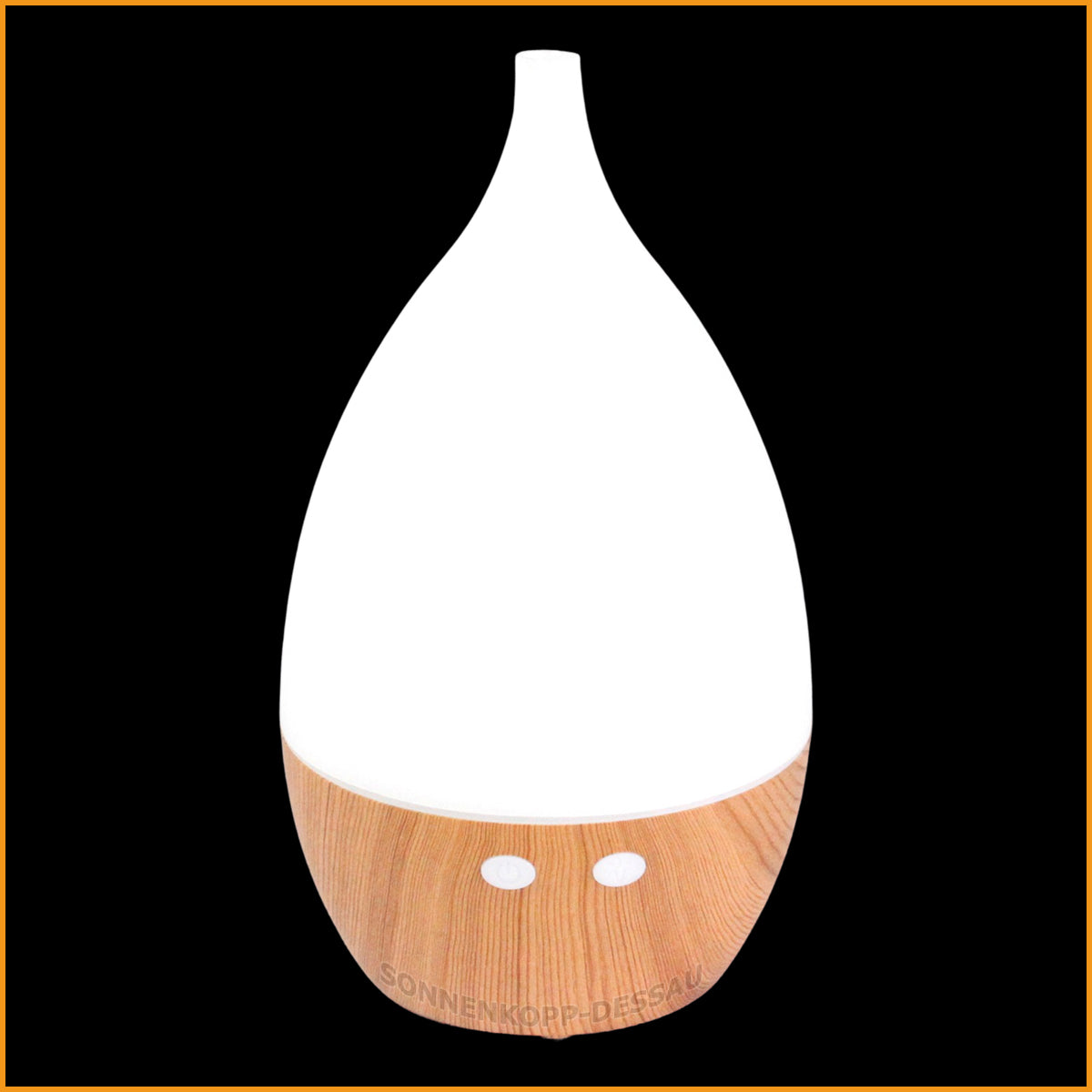 https://cdn.shopify.com/s/files/1/0380/1458/2916/products/aroma-diffuser-vase-weiss-tom-11-2.jpg?v=1599594308