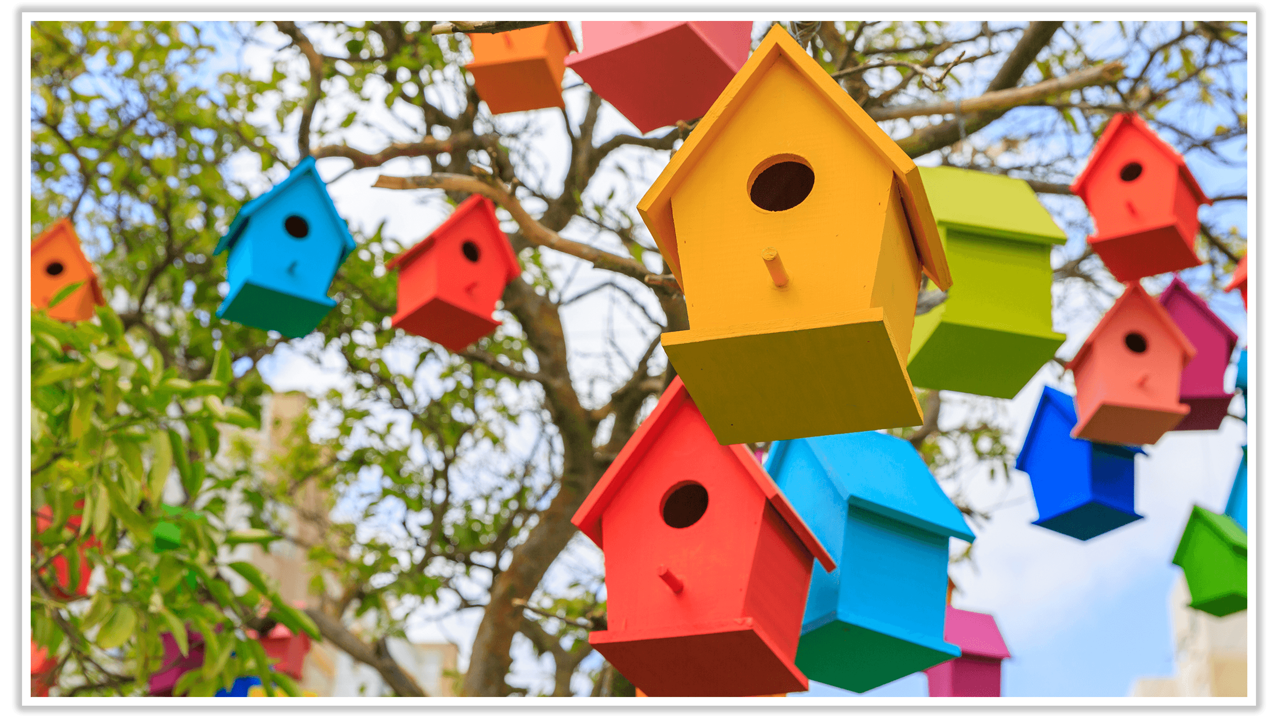 Birdhouse on the Greenway / Wildology - Bird Houses