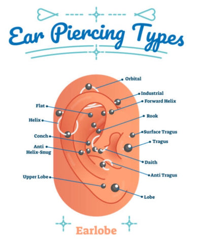 Image guide to ear piercing locations on the ear