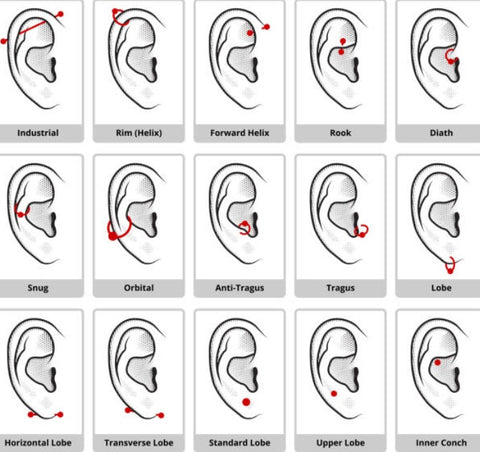 Illustrated guide to ear piercing locations